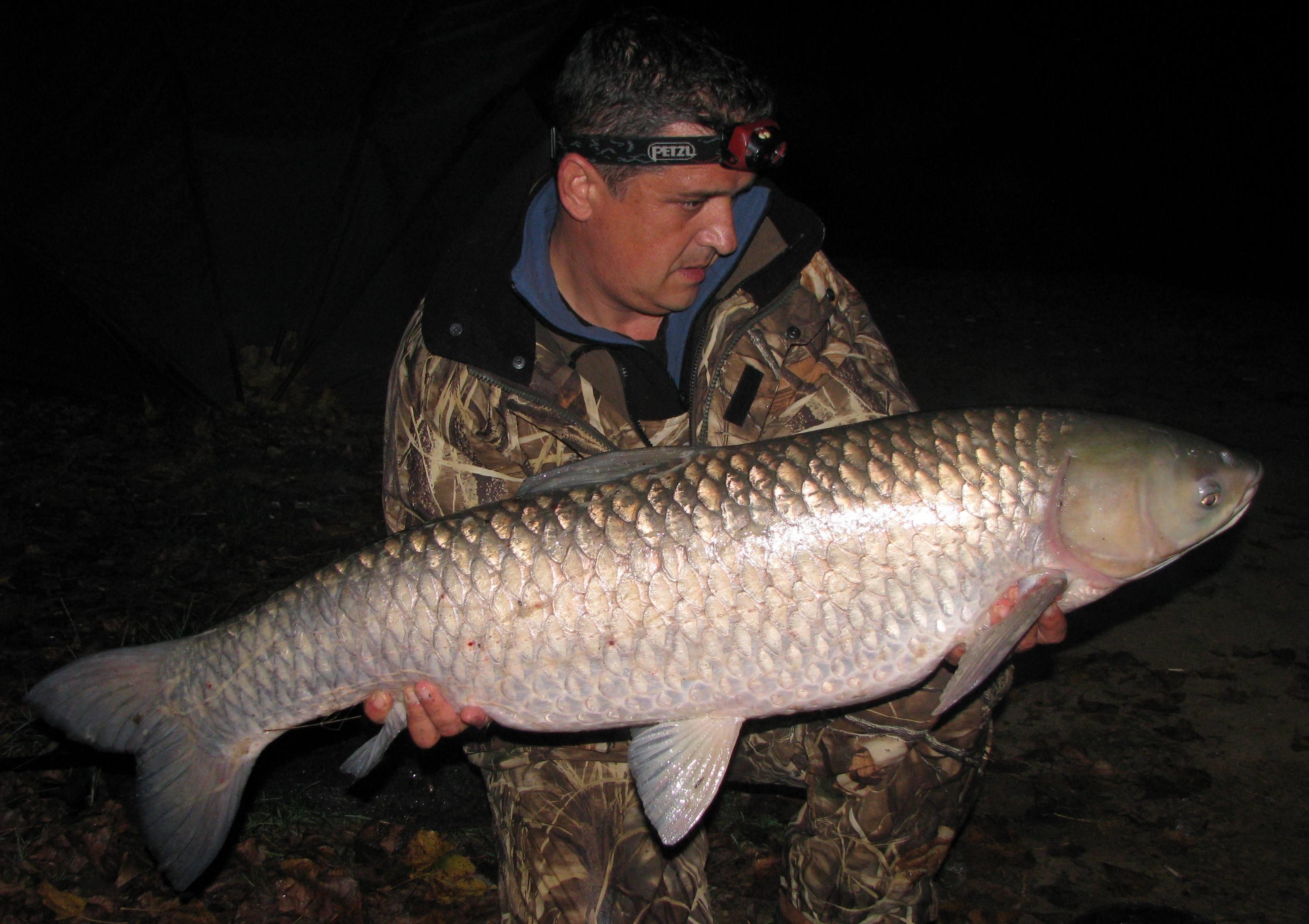 septembrie - octombrie 2012 - amur14,5kg.jpg